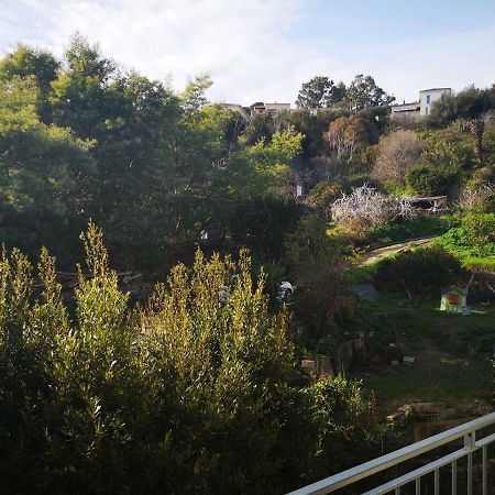 Appartement Rue Colonella Proche Citadelle 巴斯蒂亚 外观 照片